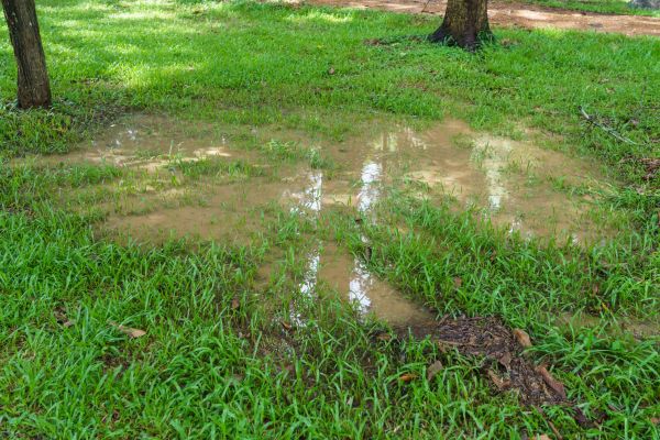 Cost of Storm Water Drainage Service in Hopkins