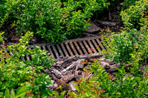 Cost of Underground Drainage Service in Hopkins