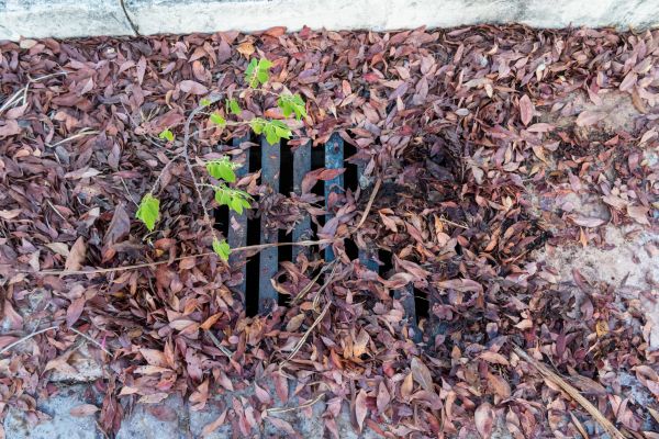 Cost of Yard Drain Unclogging in Hopkins