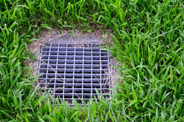 Cost of Yard Water Drainage in Hopkins