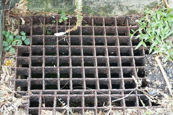 Cost of Yard Drain Cleaning in Hopkins