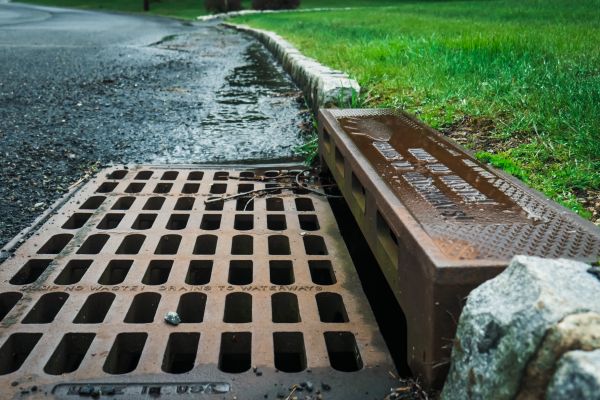 Cost of Storm Drain Repair in Hopkins