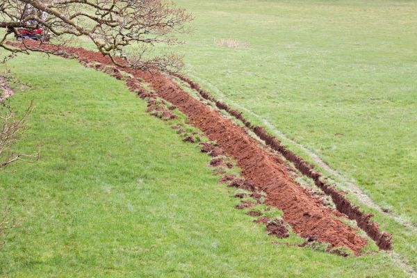 Cost of Swale Installation in Hopkins