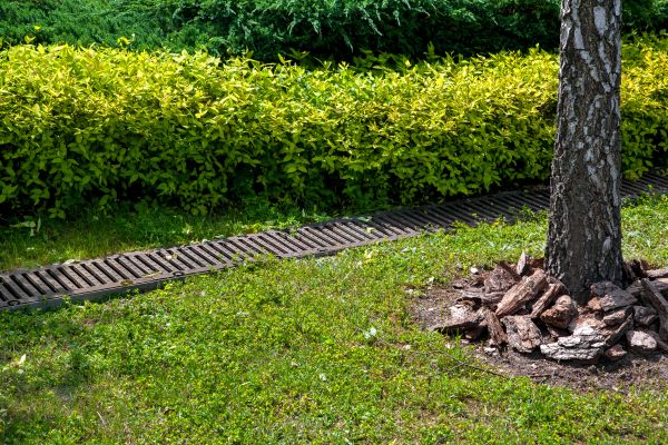 Cost of Residential Landscape Drainage in Hopkins