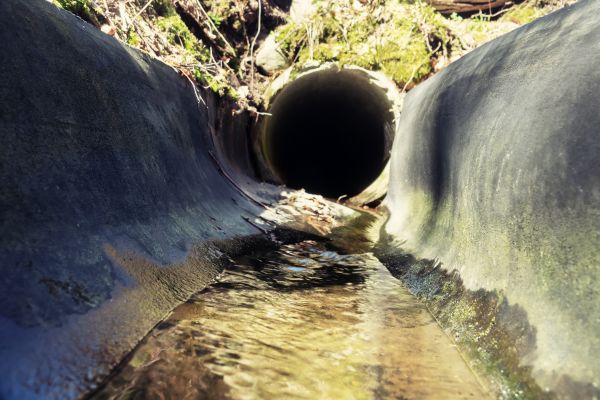 Drainage Swale Installation in Hopkins