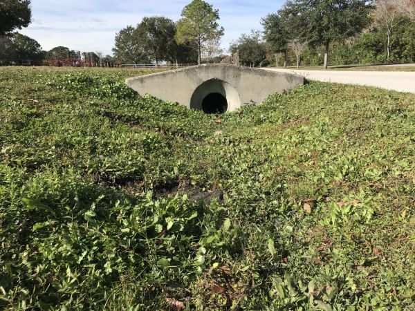Cost of Swale Drainage Service in Hopkins