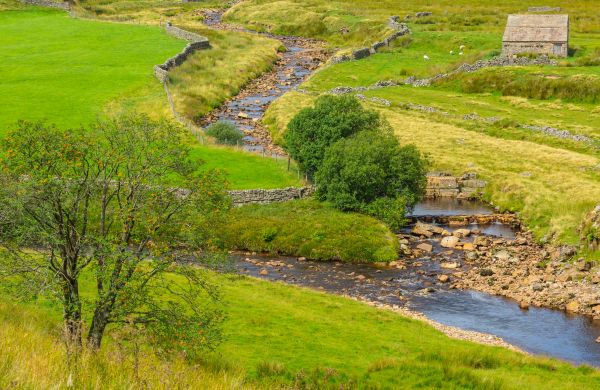 Cost of Swale Repair in Hopkins
